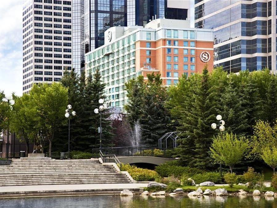 Sheraton Eau Claire Hotel